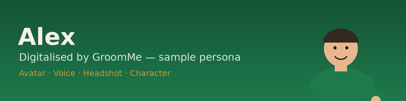 LinkedIn cover — illustrated sample for the sample persona